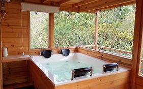 Ecocabañas B&B - Cabaña de lujo con jacuzzi privado cerca a termales